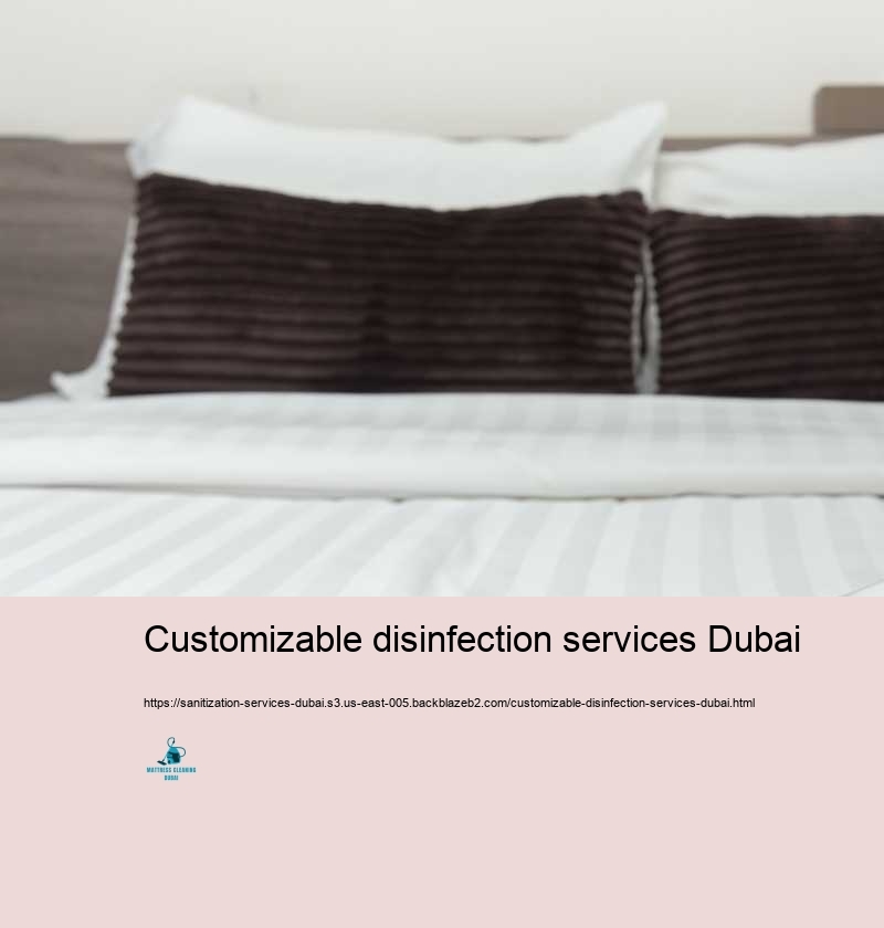 Customizable disinfection services Dubai
