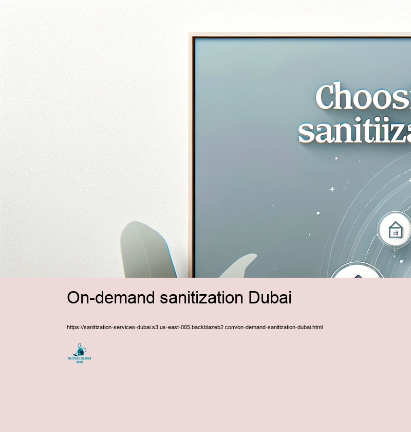 Choosing the Right Sanitization Service provider