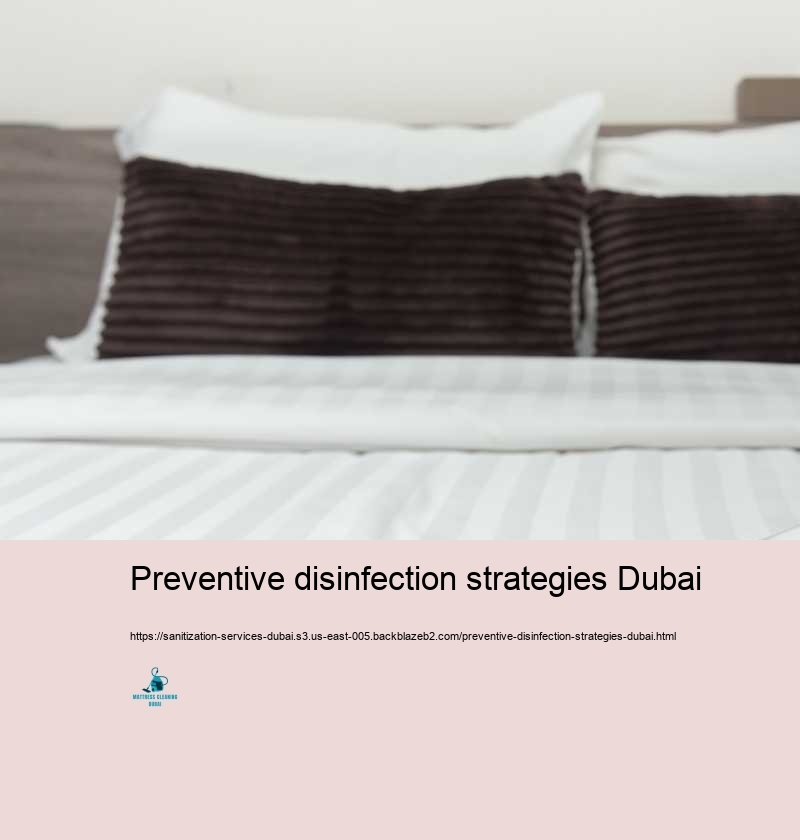 Preventive disinfection strategies Dubai