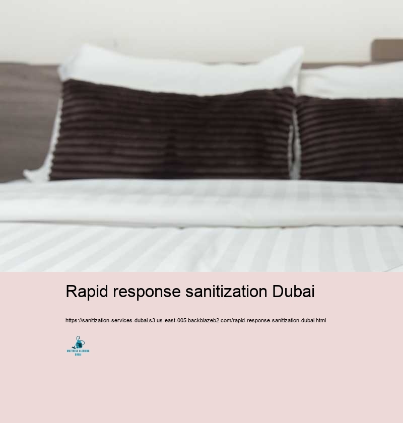 Rapid response sanitization Dubai