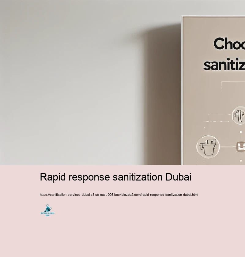 Choosing the Right Sanitization Provider