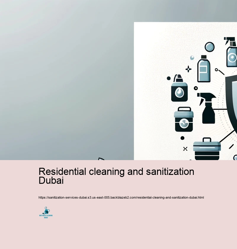 Advantages of Professional Sanitization